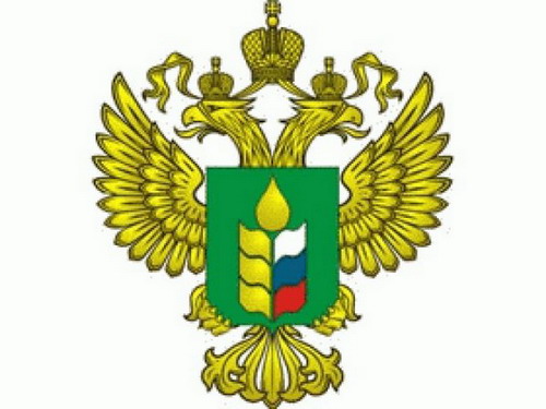 Минсельхоз определил, как подсчитывать выпускаемую молодь