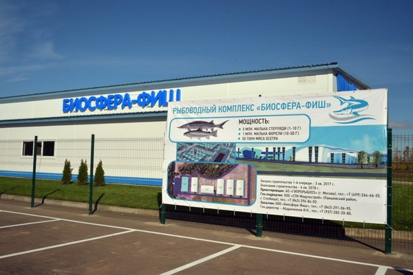 В Татарстане открыли рыбоводный комплекс по выращиванию осетровых видов рыб и форели