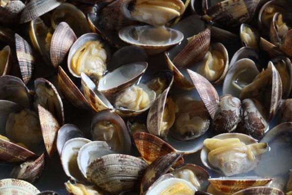 В 2018 году ЕС по-прежнему был крупнейшим рынком вьетнамских двустворчатых моллюсков
