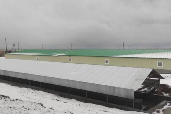 На Сахалине заработал новый завод по разведению лосося