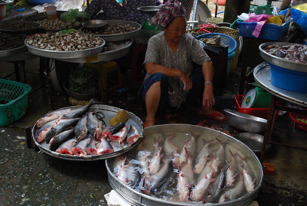 Вьетнамские экспортеры намерены вернуть пошатнувшуюся репутацию пангасиуса в Европе