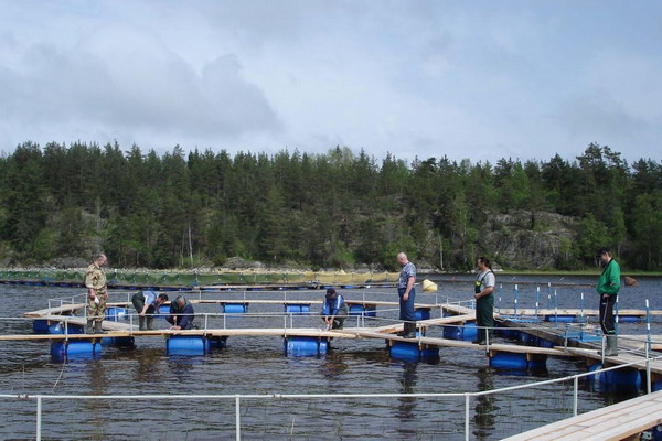 Об эффективном использовании рыбоводных участков добросовестными рыбоводными хозяйствами