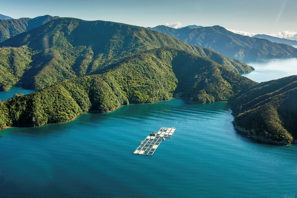 Аквакультура будет драйвером новозеландского экспорта морепродуктов