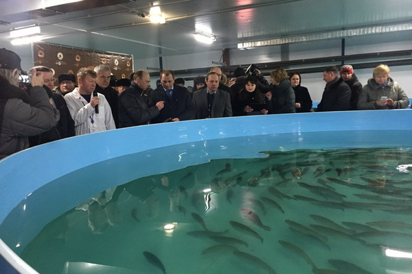 В Тамбовской области заработала вторая очередь рыбоводческого комплекса