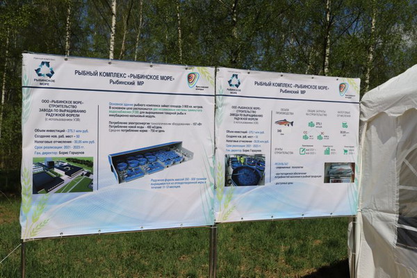 В Ярославской области появится завод «Рыбинское море» по выращиванию форели
