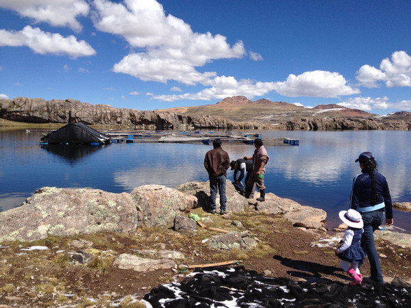 Перу собирается утроить производство продуктов аквакультуры