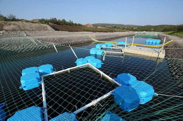 В Мурманской области запущено в эксплуатацию уникальное рыбоводческое хозяйство