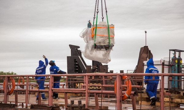 Нефтяники присоединились к восстановлению популяции муксуна на Ямале