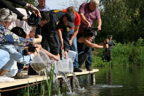 Впервые состоялся выпуск молоди стерляди в реку Осетр
