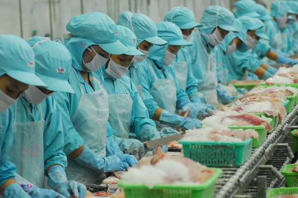 Вьетнам: Экспорт сомовых в этом году должен вырасти до 2 миллиардов долларов