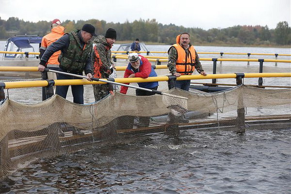 Вологодская область приступила к реализации госпрограммы по поддержке развития аквакультуры