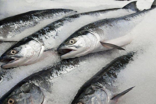 Почему норвежская рыба стала самой лучшей в мире?