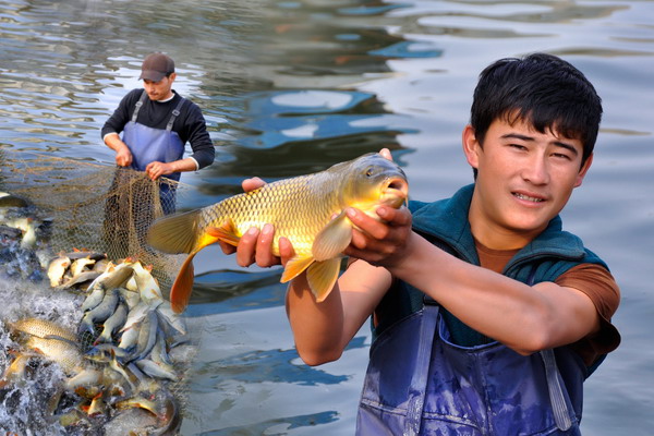 ФАО видит большие перспективы у аквакультуры Центральной Азии