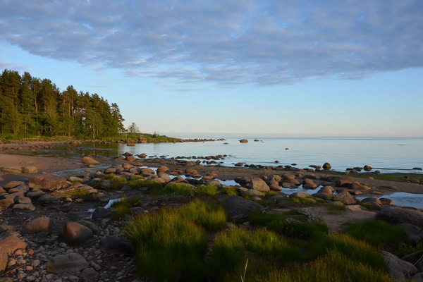 Финскому заливу прочат рыбоводное будущее