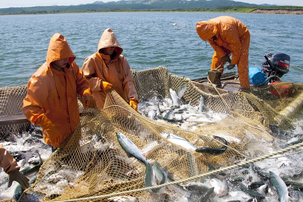 В сфере традиционного рыболовства и аквакультуры вышли новые документы