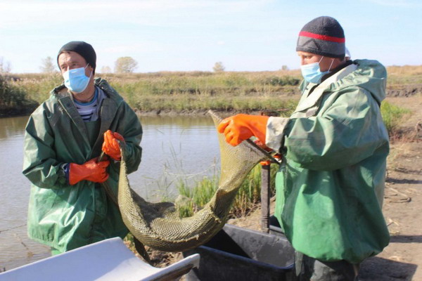 Ростовская область рассчитывает на пастбищное рыбоводство