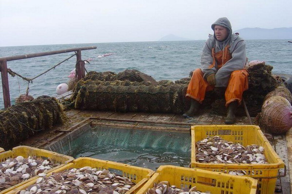 Почти 8 тысяч тонн продукции аквакультуры выращено в Приморье за полгода