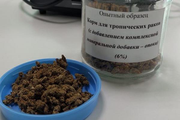 Астраханские ученые создали необычный корм для раков