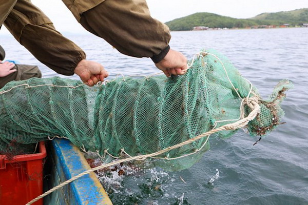Предложение губернатора Приморья по упрощению процедуры оформления рыбоводных участков поддержали в Совете Федерации