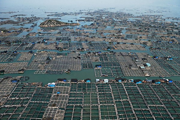 Владельцы аквакультурных ферм в КНР протестуют против закрытия своих хозяйств