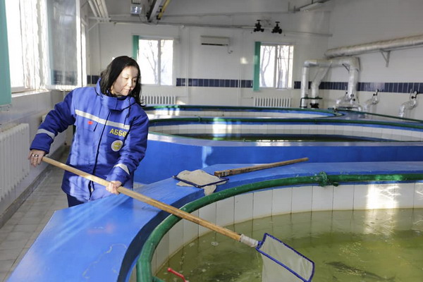 Глава Минэкологии Казахстана озвучил планы развития рыбного хозяйства в стране