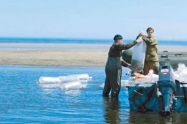 Власти Иркутской области поддержат рыборазводные хозяйства
