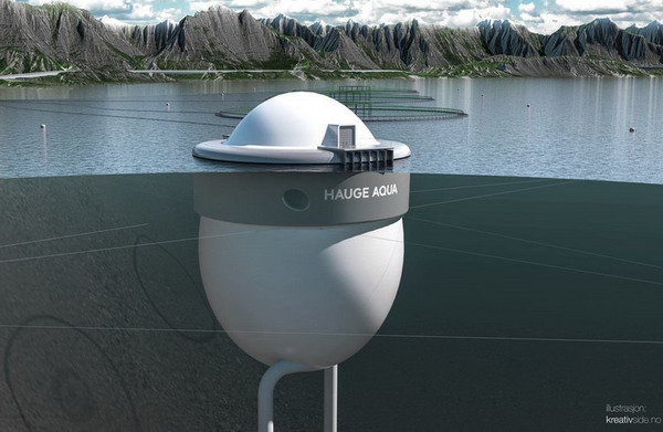 Норвежские власти одобрили новую концепцию садков для акваферм