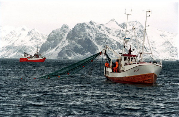 Норвегия: Экспорт морепродуктов растет